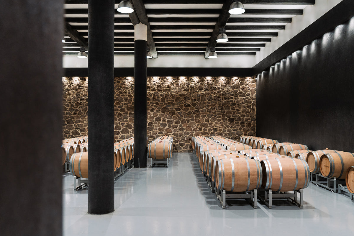 Winery tour e degustazione allo Stazzo
