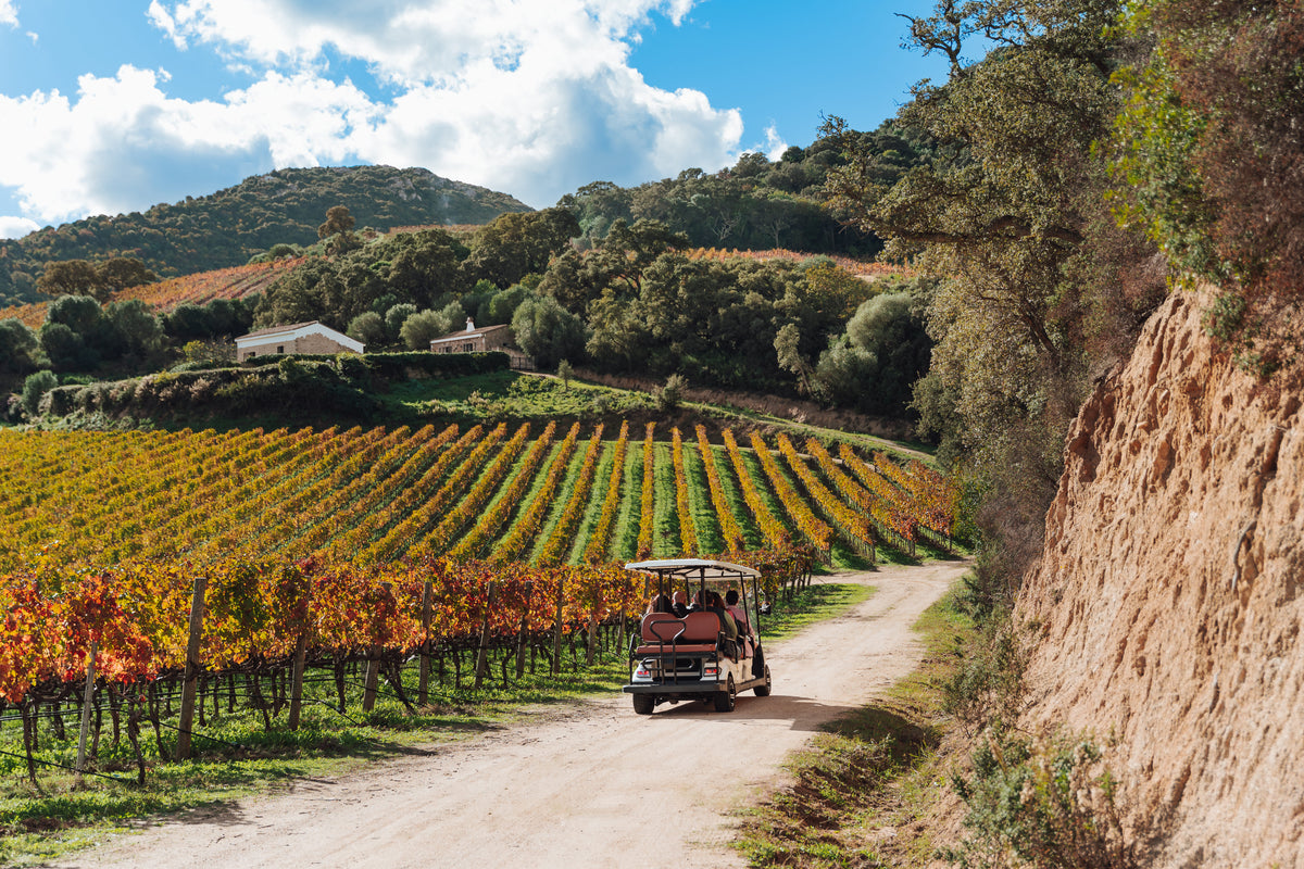 Winery tour e degustazione allo Stazzo
