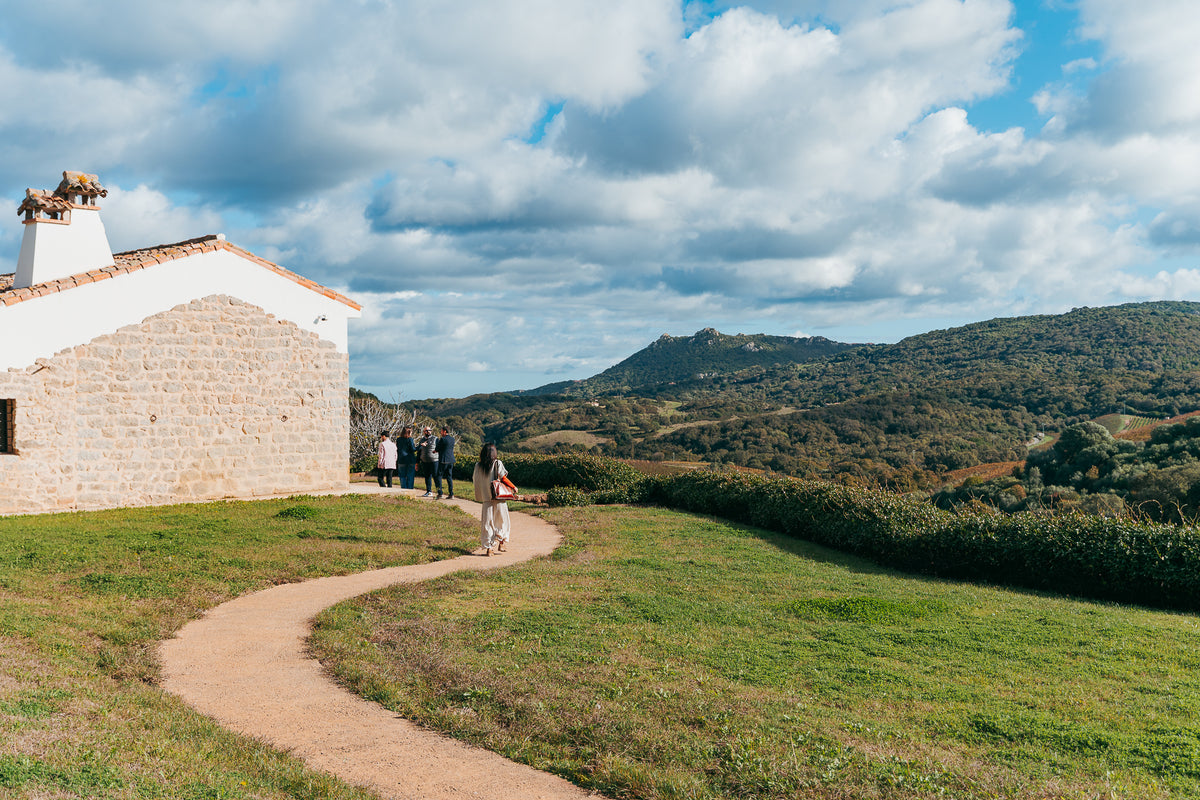 Winery tour e degustazione allo Stazzo