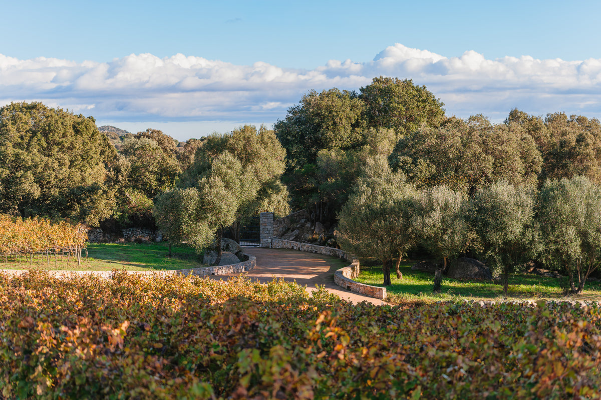Winery tour e degustazione allo Stazzo