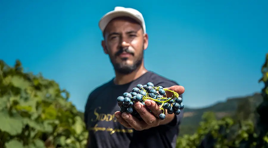 Cannonau di Sardegna DOC